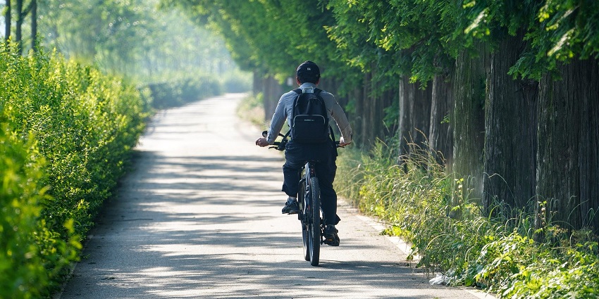 An image of a man cycling peacefully surrounded by lush green trees in a clean environment