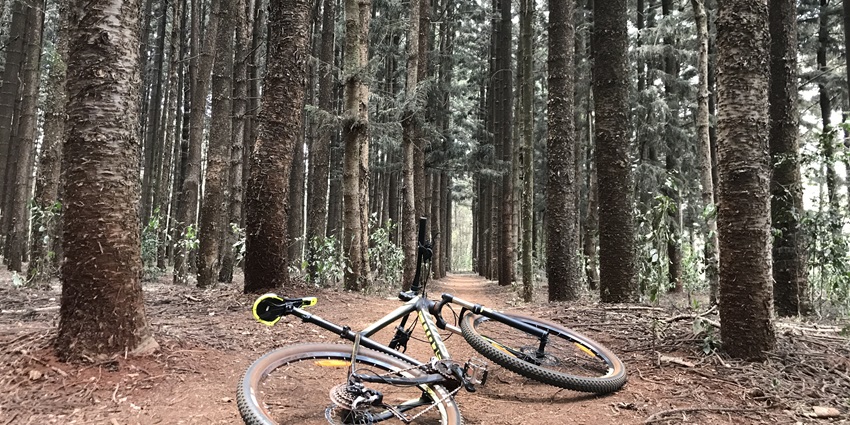 Cyclists enjoy scenic and peaceful rides along the winding trails of Karura Forest