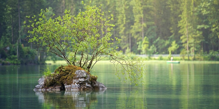 An image view of Dalsar Lake with reflections of trees in the water.