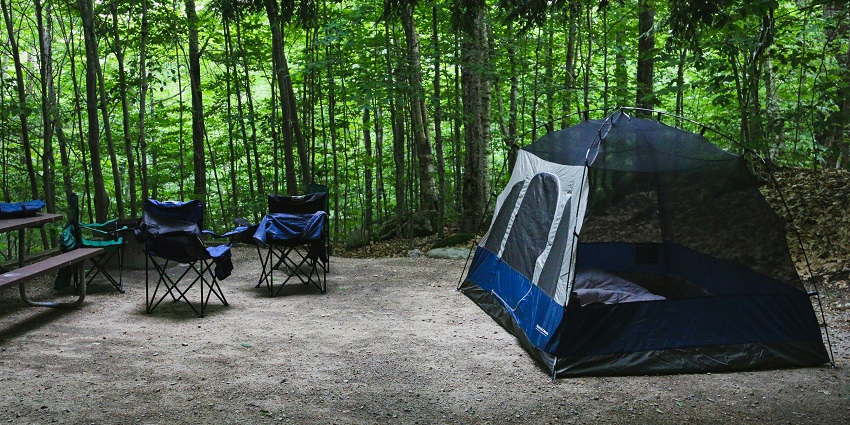View of a tent amidst the lush forests of Dandeli wildlife sanctuary