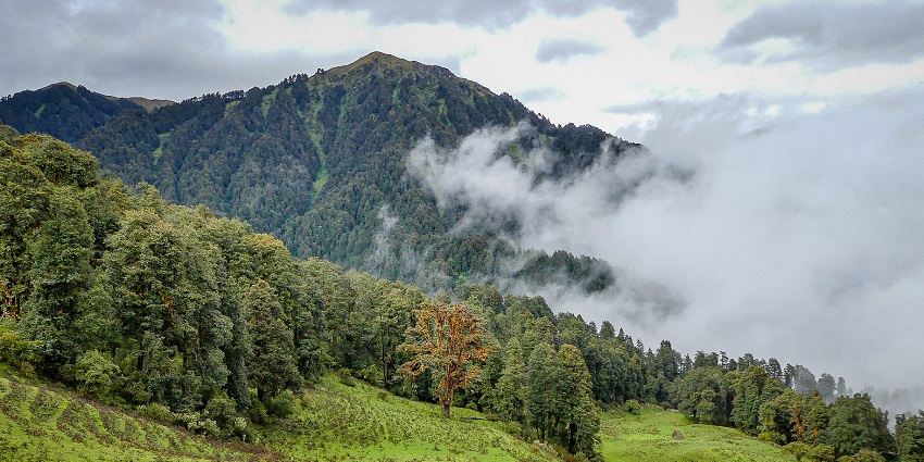An image of the Dayara Bugyal Trek with a trail passing through open meadows and hills.