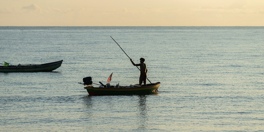 Exciting fishing experiences in the rich waters of Mozambique's coast.