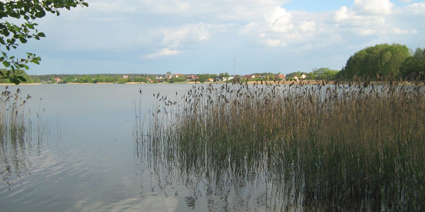 Image of the Degana lake surrounded by bushes ans greenery
