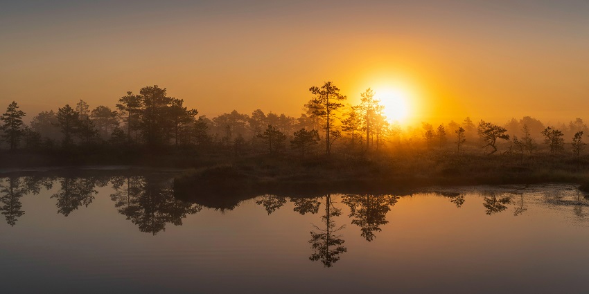 Soft morning light bathes an Estonian forest, its reflection shimmering on the glassy lake