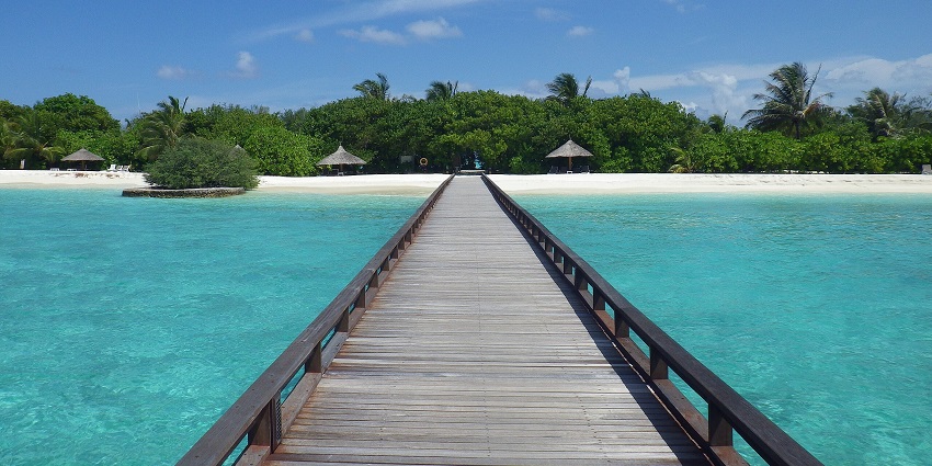 An image of a long stretch of pristine beach known for whale shark sightings and diving.