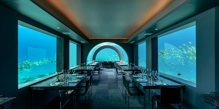 Enjoy gourmet cuisine while surrounded by breathtaking marine life underwater.