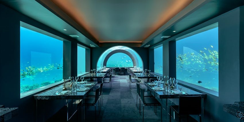 View of mesmerising marine life in an underwater restaurant, offering a unique culinary experience.