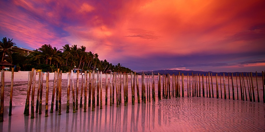 Witness the magical bioluminescent waters illuminating the shoreline at night.