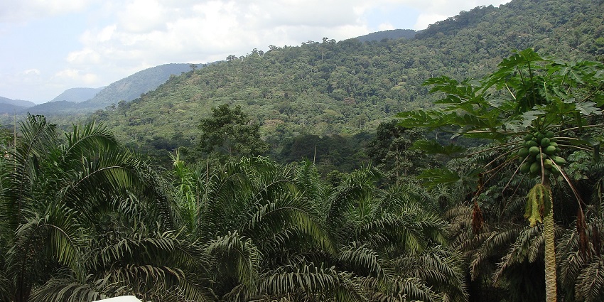 Green forests and rolling hills are stretching across Monte Alén Park