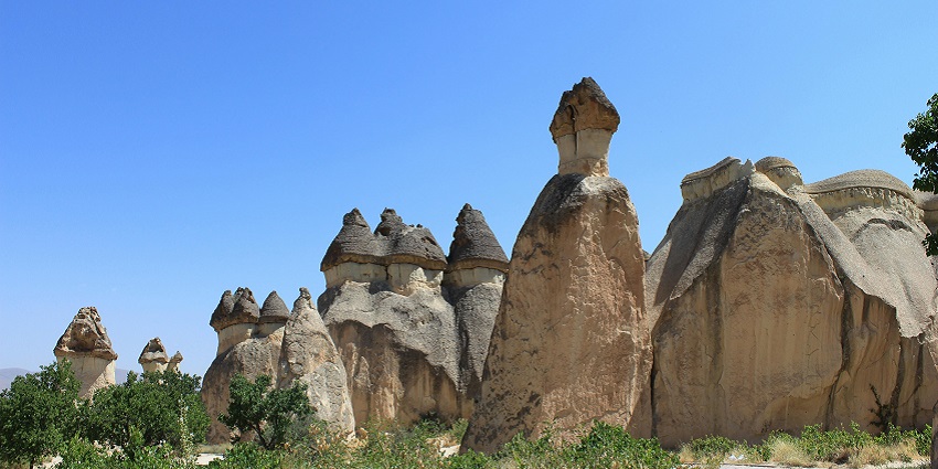 Image similar to the lush delta region of the Caspian Sea, the Biggest Lake in the World
