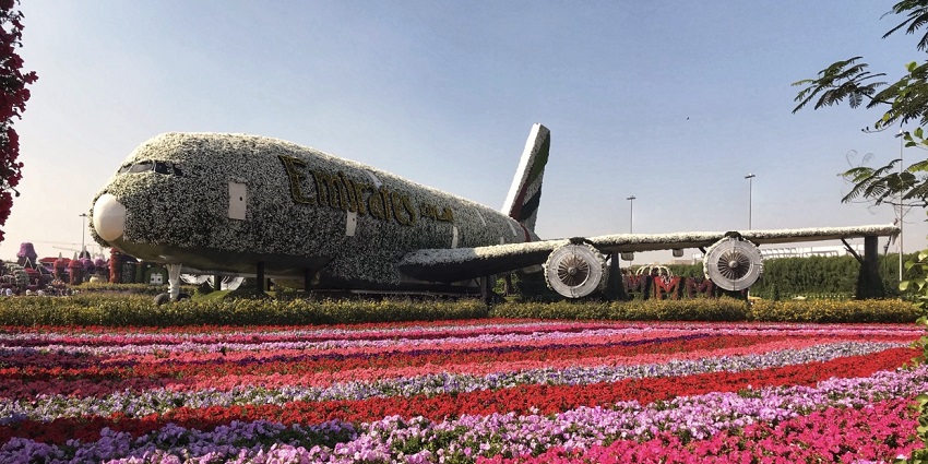 Things to do include strolling through vibrant floral displays at Dubai Miracle Garden.
