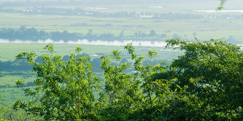 An image of the Kissama National Park with its diverse natural species and wildlife