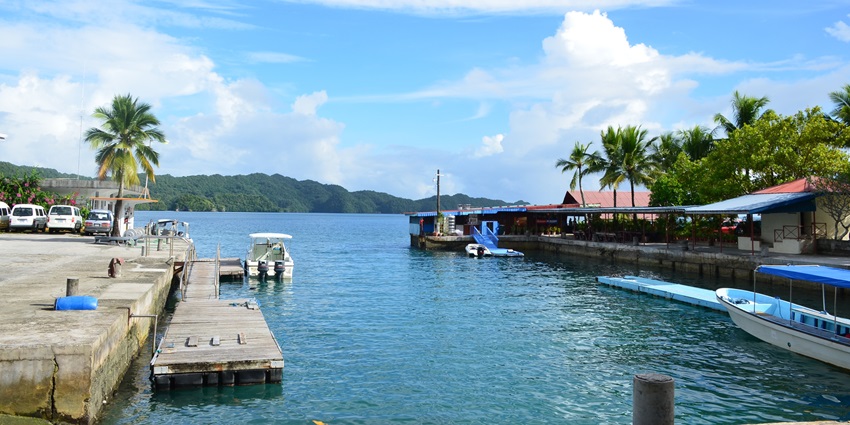 Diving into the Blue Corner is one of the most thrilling things to do on Palau island