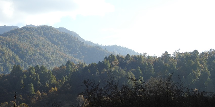 Hill station in Arunachal Pradesh with dense green forests on hills under a cloudy blue sky