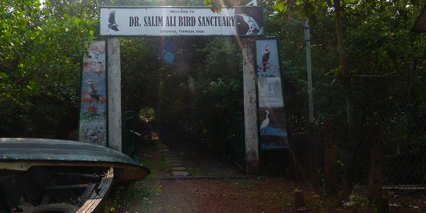 An image showing the entrance of Salim Ali Sanctuary, a spot for wildlife safari in Goa