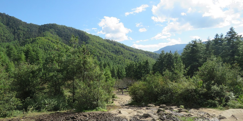 The best camp is along the Druk Path Trek, which has clear lakes and stunning views of Mount Jomolhari.