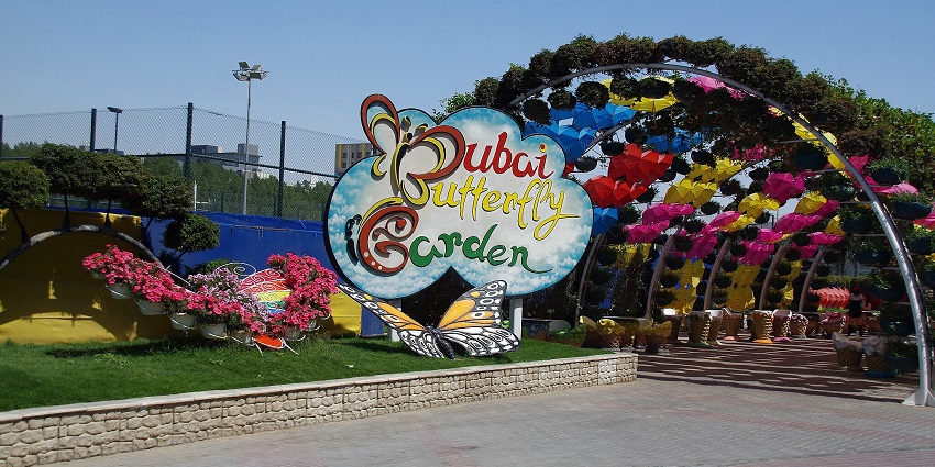 A view of the vibrant entrance area of the Dubai Butterfly Garden