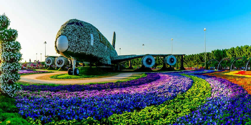 Airplane covered in flowers seen at the Dubai Miracle Garden, located a short distance from Al Rahim mosque.