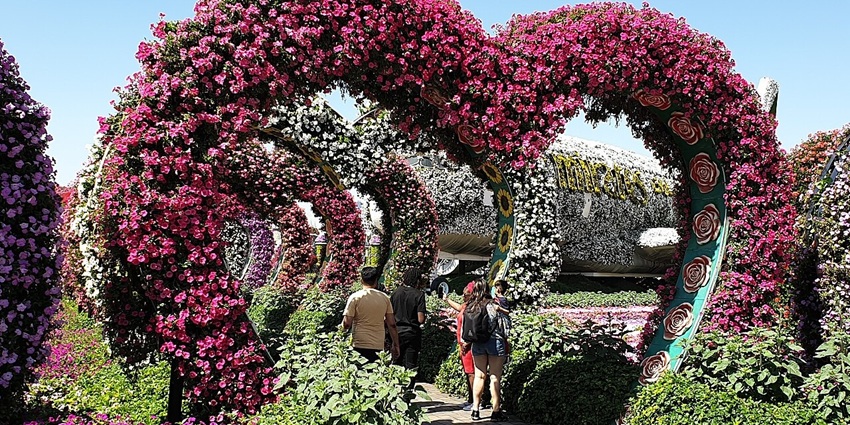 Millions of flowers in exotic displays in bloom at the world's largest flower garden
