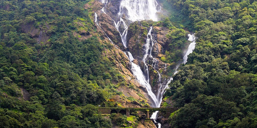 Trek to the iconic Dudhsagar Waterfalls for a mesmerising adventure and experience.