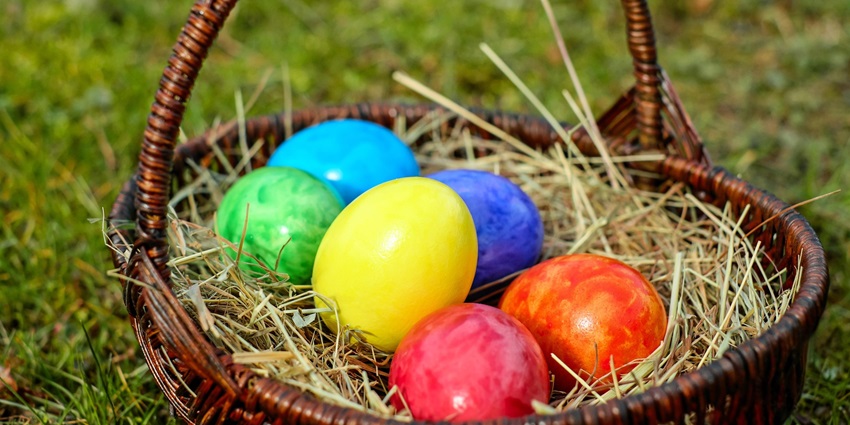 An image showing a bunny with eggs, symbolising Easter, part of famous Indian festivals.