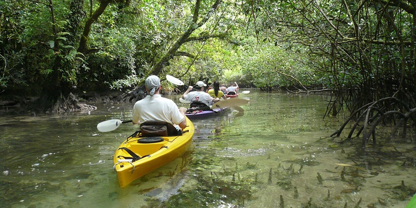 Eastern Mangroves National is one of the best places for travellers to visit and explore.