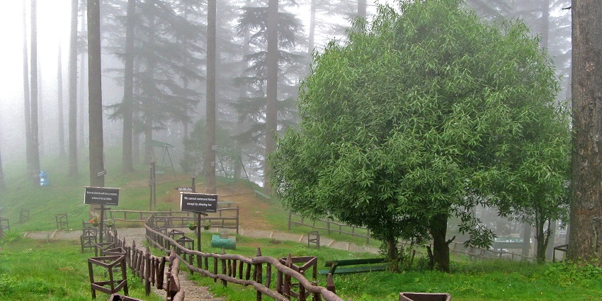 The natural beauty of Eco Park, an eco-friendly retreat that highlights the importance of conservation.