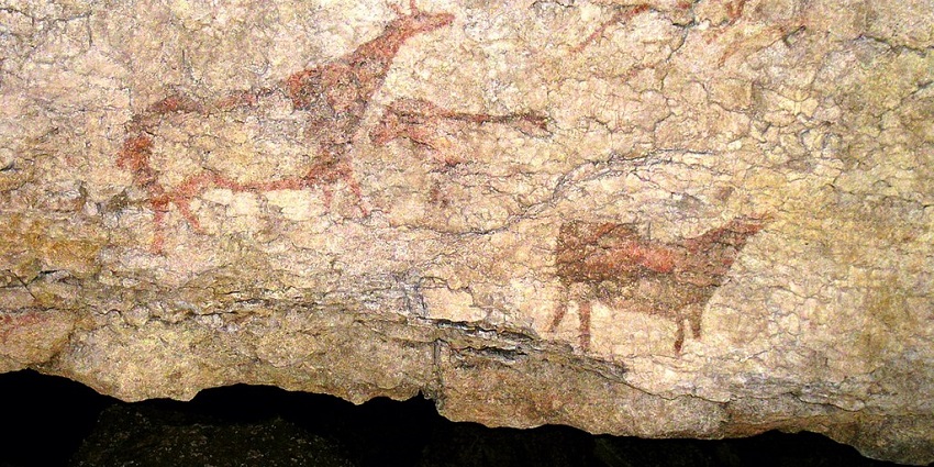 The cave is used to study the behaviour of older species of humans including Neanderthals