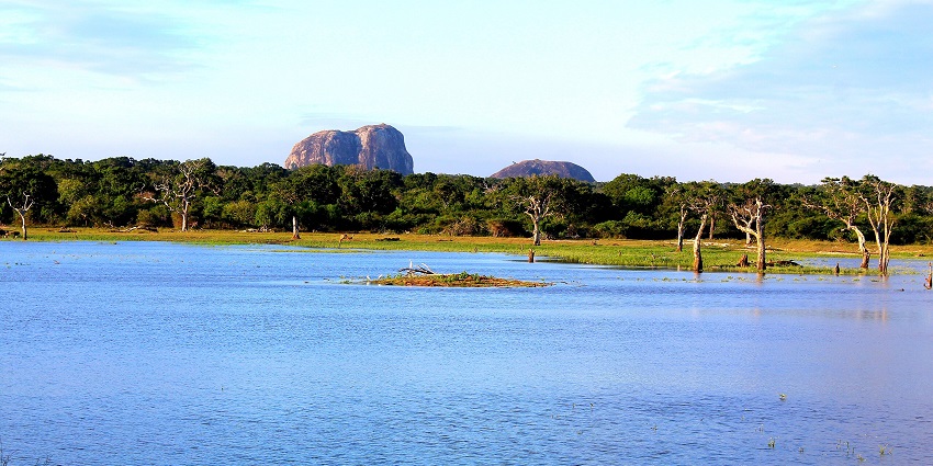 Climb Elephant Rock , making it one of the exciting and top places to visit in Arugam Bay.