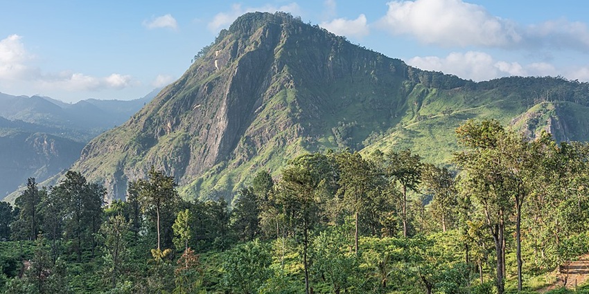 Conquer the challenge of hiking Ella Rock for an unforgettable experience.