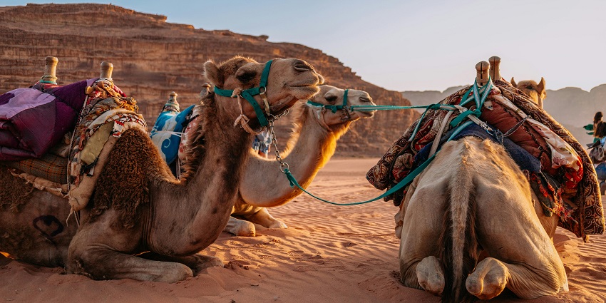 Things to do on Eid in Dubai include experiencing dune bashing, camel rides