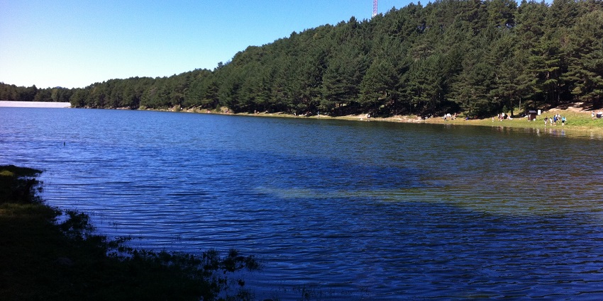 Clear water is flowing gently by a forest while visitors are walking along the shoreline