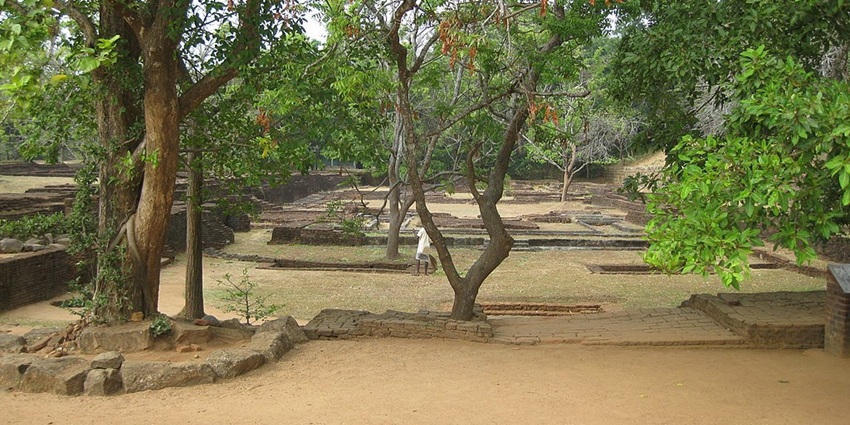 Golden sands and towering trees embrace the timeless Polonnaruwa Ruins.