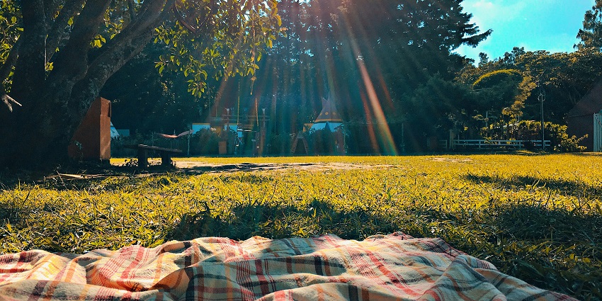 You can enjoy a picnic near the serene Sasthamkotta Lake, the queen of lakes in India.