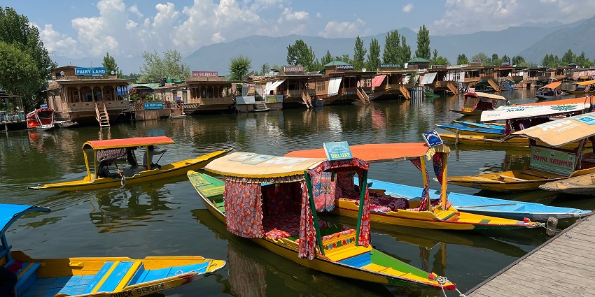 Multiple shikara boats on the shore of Dal Lake and the silhouette of trees and sunset