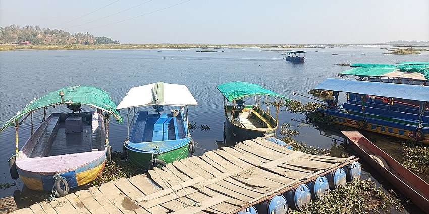 Multiple boats parked at a wooden pier in the floating lake in Manipur with a large water body in the back.