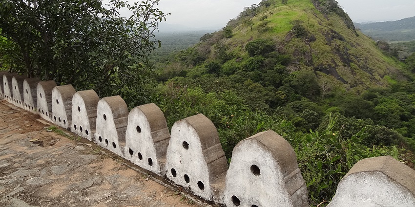 Witness lush green landscape from the Dambulla Cave Temple in Sri Lanka.