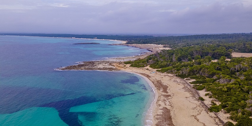A pristine stretch of beach with crystal-clear waters and natural dunes