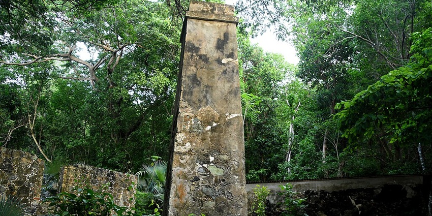 Cinnamon Plantation Ruins surrounded by green forest in a tropical jungle setting.
