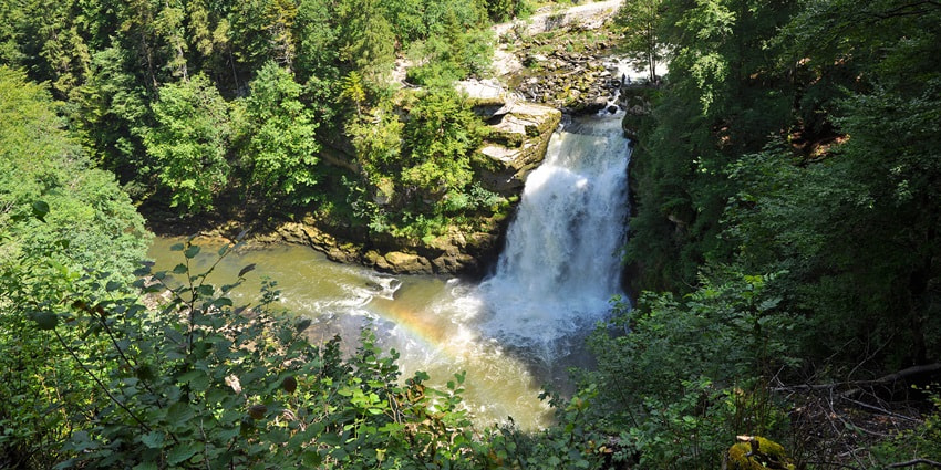 An image of the majestic Saut-d’Eau Waterfalls, surrounded by lush tropical greenery in Haiti’s Central Plateau.