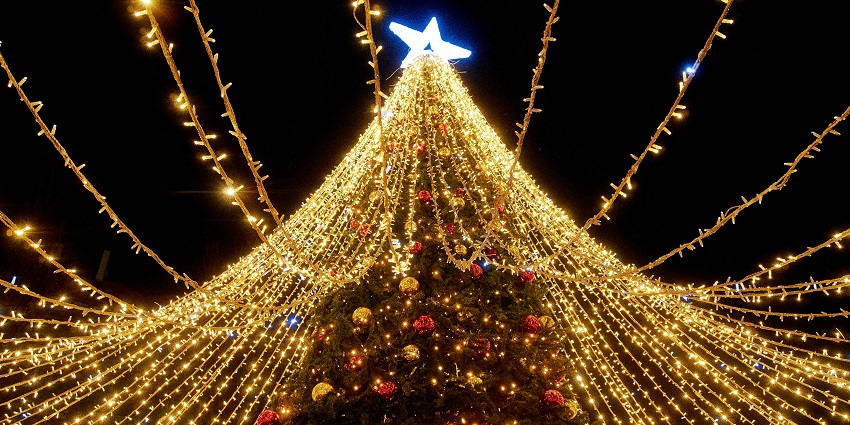 Things to do in Denver for New Year’s Eve include celebrating under the dazzling, tallest digital Christmas tree