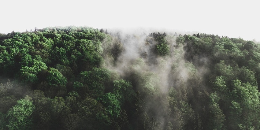 A breathtaking view of mountains covered in vibrant greenery