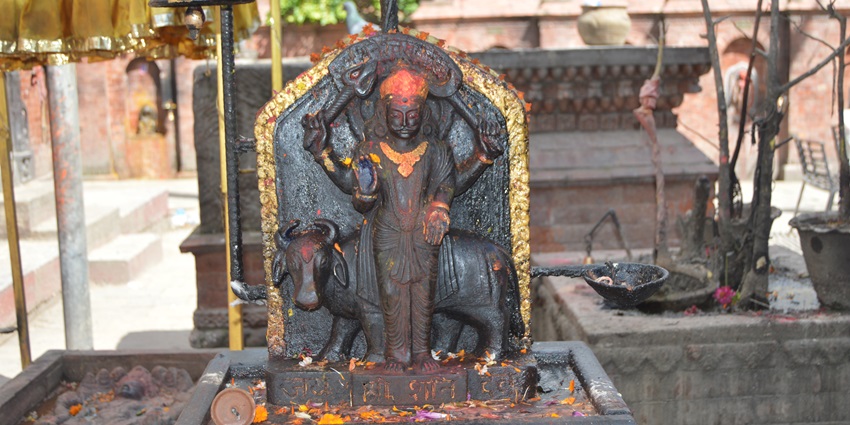 Witness and participate in the temple rituals at the Shani Shanginapur temple