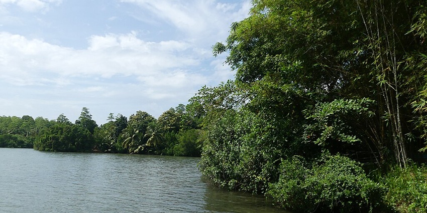 An image of the Lake Koggala, boating here is one of the best things to do in Koggala