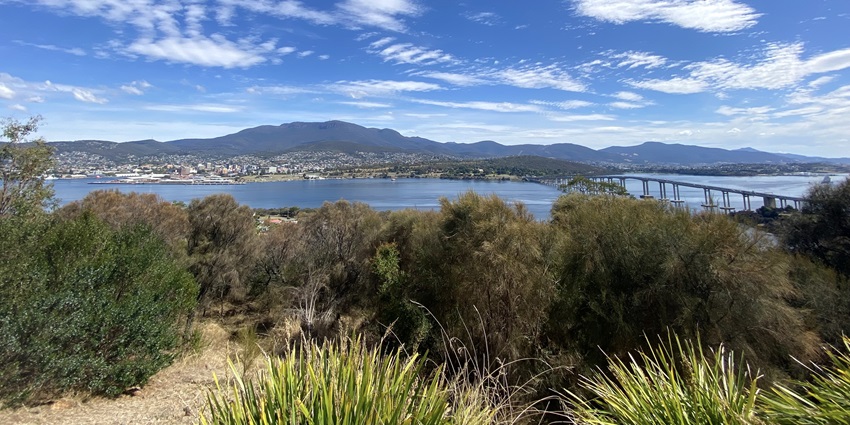 An image of Kunanyi lookout, a tourist destination and one of the best things to see in Hobart, Australia.
