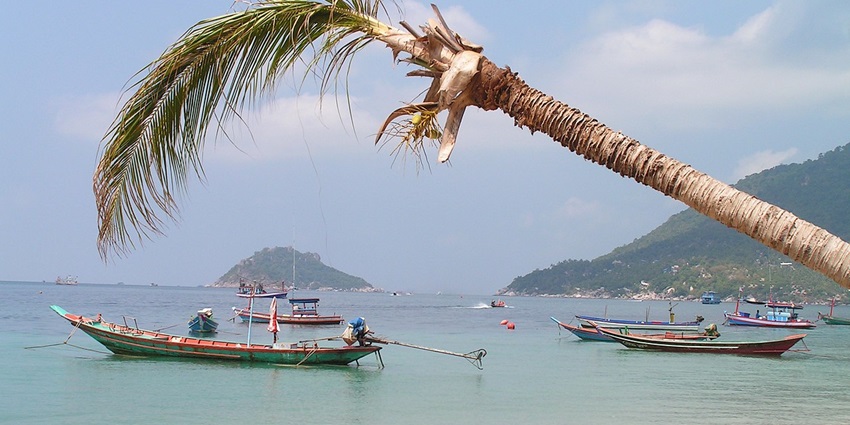 Relax on the stunning Sairee Beach, the longest stretch of sand on Koh Tao Island.