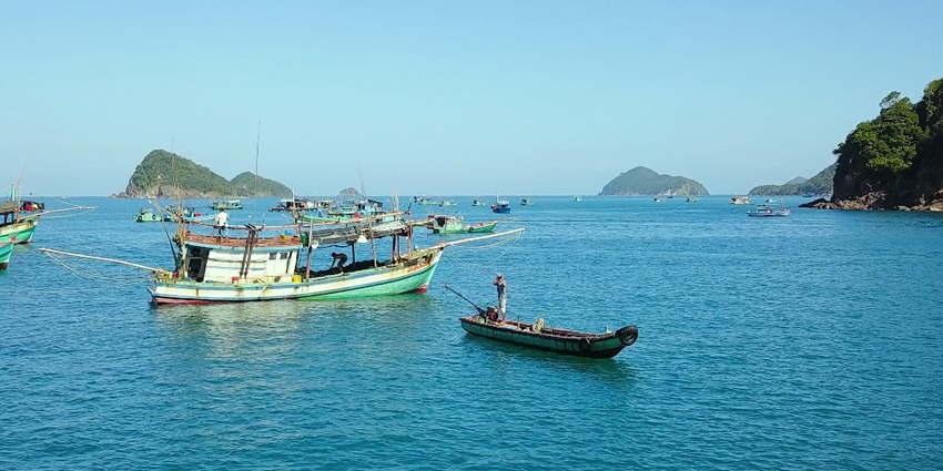 An image of the Chàm Islands showing clear blue waters and green hills in Vietnam.