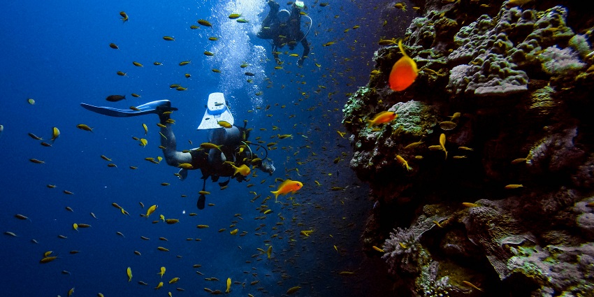 Things to do in the Maldives in July include diving into the waters to relish marine life.