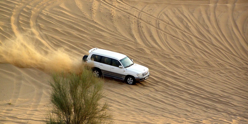 Experience dune bashing, camel rides, and traditional Bedouin culture while Desert Safari.