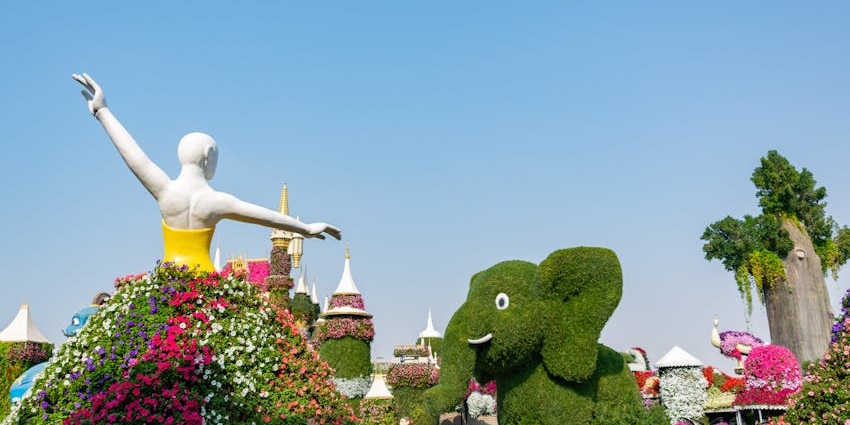 Walk hand in hand through Miracle Garden’s floral wonderland, perfect thing to do in Dubai